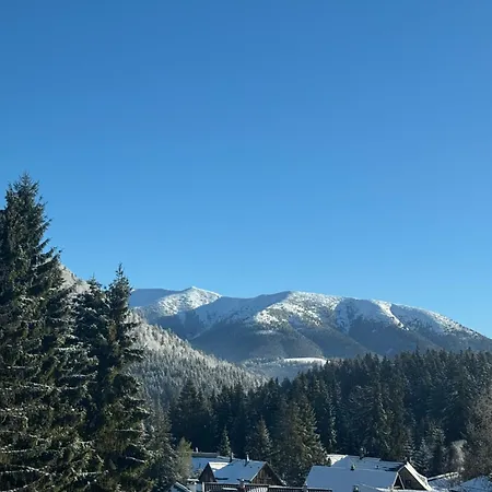 Kamzik 51 Apartman *